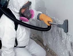 Environmental Consulting for Mold Prevention in Bangor, PA